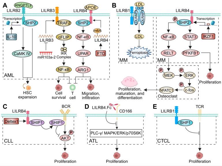 https://cdn.ncbi.nlm.nih.gov/pmc/blobs/f29e/12374591/d63379e2f24a/thnov15p8222g003.jpg