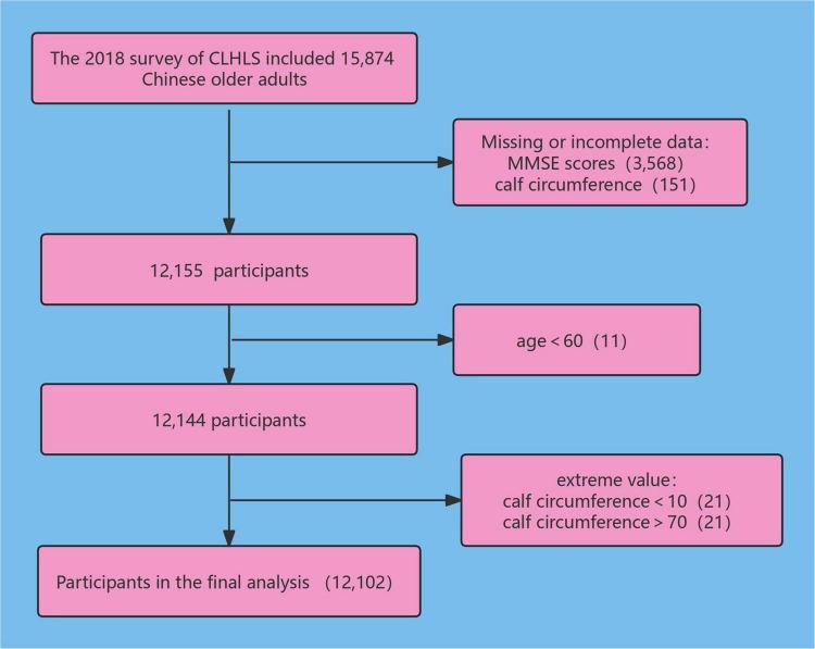 https://cdn.ncbi.nlm.nih.gov/pmc/blobs/f2a0/12174059/1e27164b8670/fnagi-17-1473135-g001.jpg