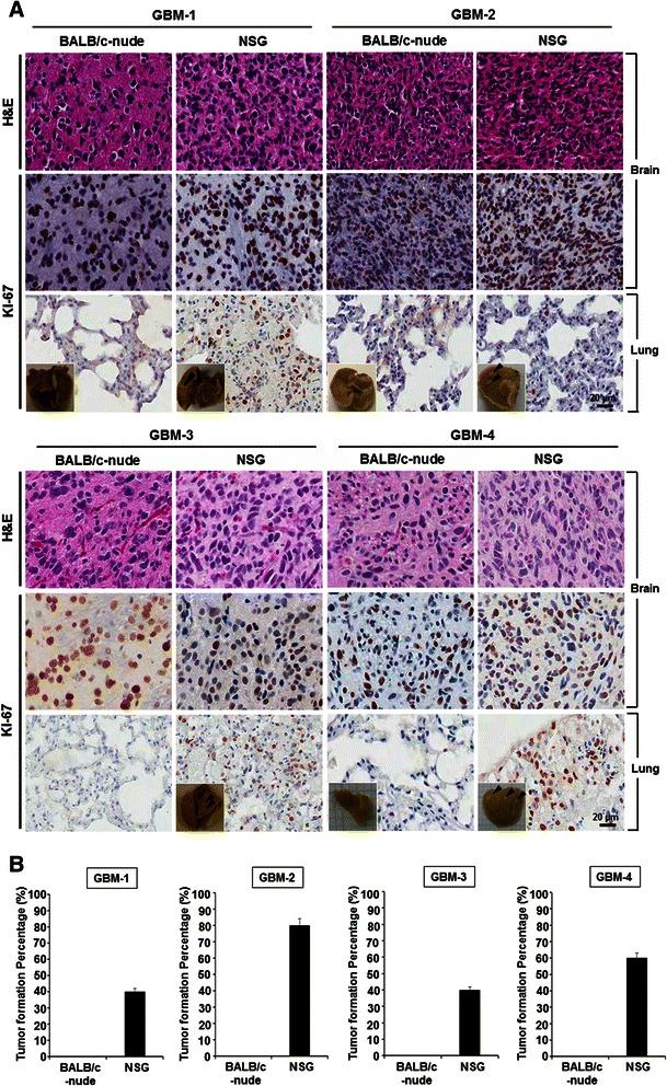 https://cdn.ncbi.nlm.nih.gov/pmc/blobs/f2a0/4690248/08f1cf4fa1ac/12885_2015_2034_Fig1_HTML.jpg