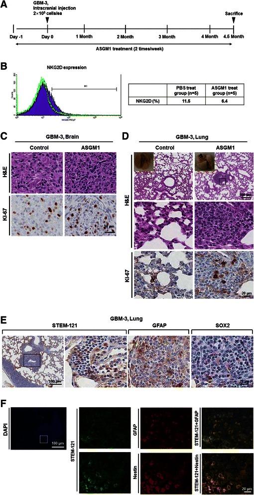 https://cdn.ncbi.nlm.nih.gov/pmc/blobs/f2a0/4690248/ac544f86694b/12885_2015_2034_Fig2_HTML.jpg