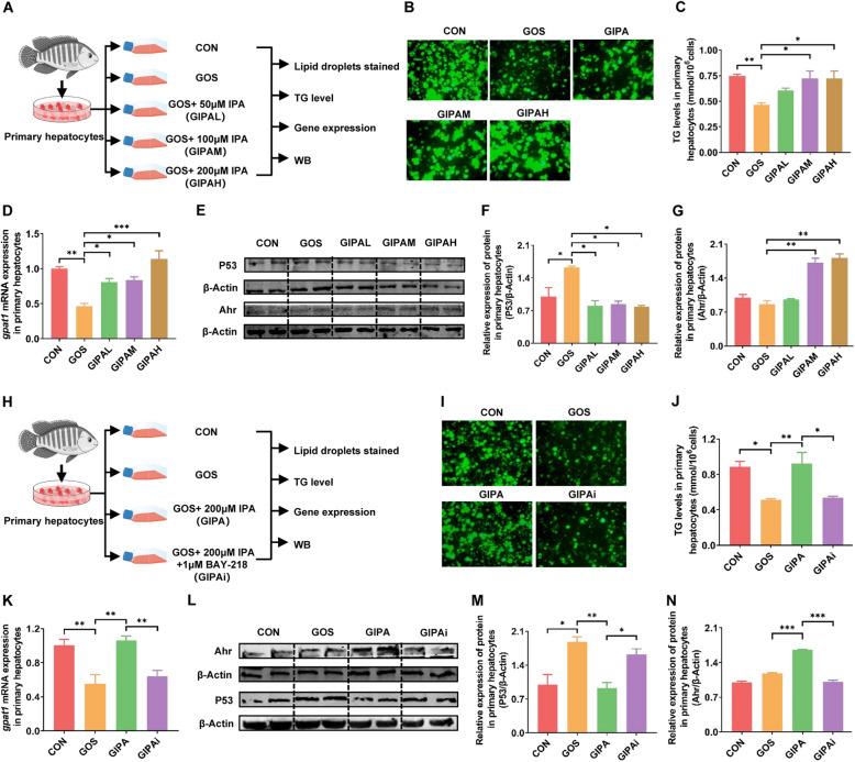 https://cdn.ncbi.nlm.nih.gov/pmc/blobs/f2a1/12323027/5378e1aa65f8/40168_2025_2172_Fig5_HTML.jpg