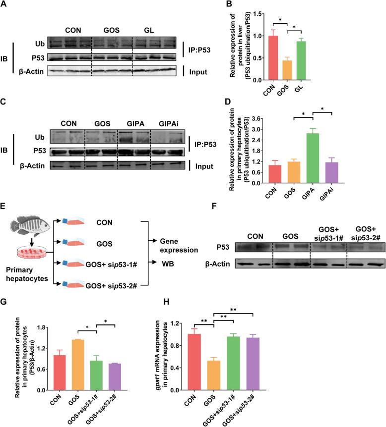 https://cdn.ncbi.nlm.nih.gov/pmc/blobs/f2a1/12323027/fb9643998320/40168_2025_2172_Fig6_HTML.jpg