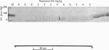 https://cdn.ncbi.nlm.nih.gov/pmc/blobs/f2a2/1368751/ccce75c5d28c/jphysiol01210-0019-a.jpg