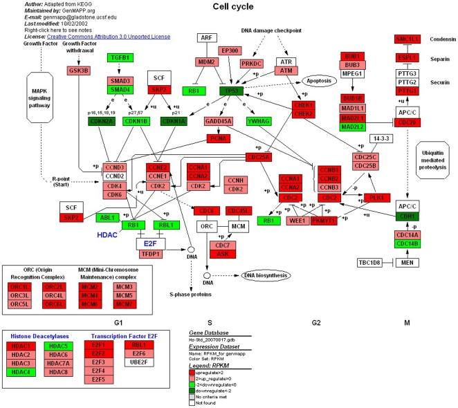 https://cdn.ncbi.nlm.nih.gov/pmc/blobs/f2a3/3030591/d4ec6ac7f6ec/pone.0016516.g005.jpg