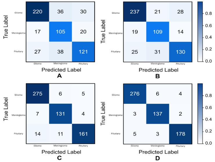 https://cdn.ncbi.nlm.nih.gov/pmc/blobs/f2a9/8869455/a21200495acb/biomedicines-10-00223-g005.jpg