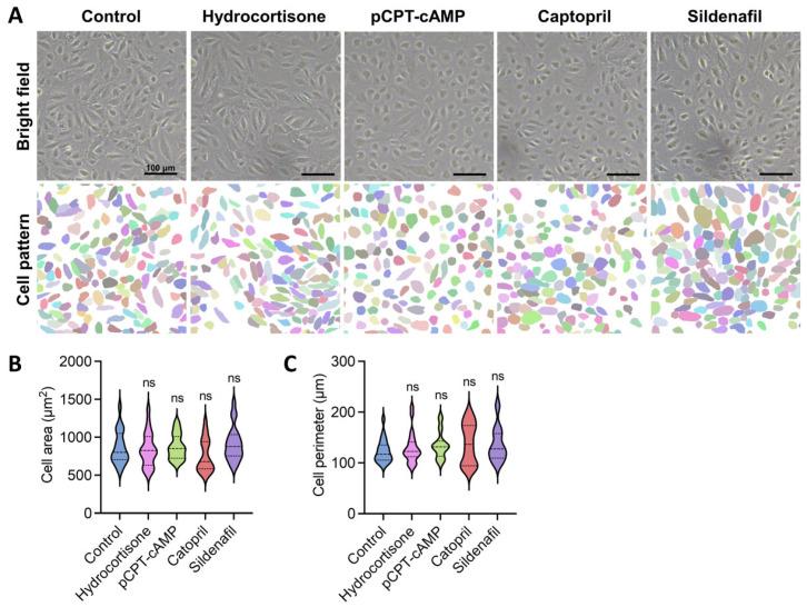 https://cdn.ncbi.nlm.nih.gov/pmc/blobs/f2aa/12346220/4f0873a5034b/ijms-26-07183-g002.jpg
