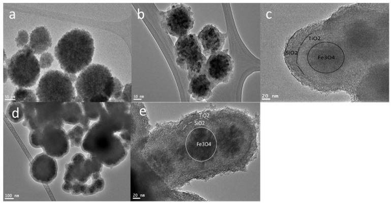 https://cdn.ncbi.nlm.nih.gov/pmc/blobs/f2ac/10537299/823dfdeae6a5/nanomaterials-13-02548-g001.jpg