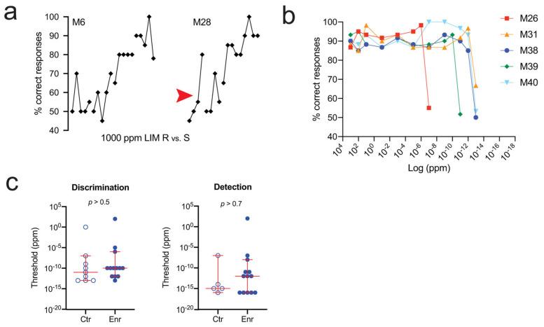https://cdn.ncbi.nlm.nih.gov/pmc/blobs/f2ac/10669894/08cc252bfe80/brainsci-13-01553-g004.jpg