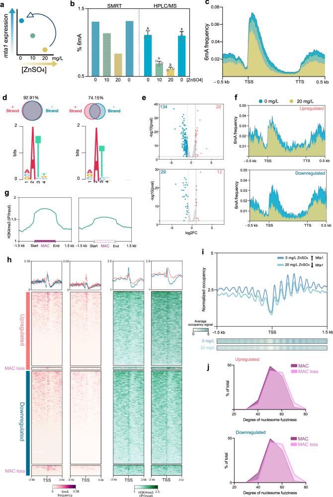 https://cdn.ncbi.nlm.nih.gov/pmc/blobs/f2ac/12019607/5746252a8a38/41467_2025_59170_Fig6_HTML.jpg