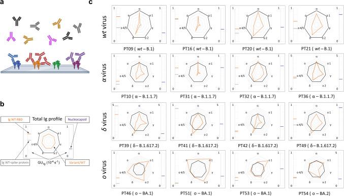 https://cdn.ncbi.nlm.nih.gov/pmc/blobs/f2ac/12058826/da5aa2d8b8de/431_2025_6153_Fig3_HTML.jpg