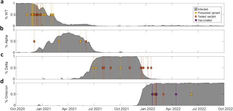 https://cdn.ncbi.nlm.nih.gov/pmc/blobs/f2ac/12058826/e554ceae22d6/431_2025_6153_Fig4_HTML.jpg
