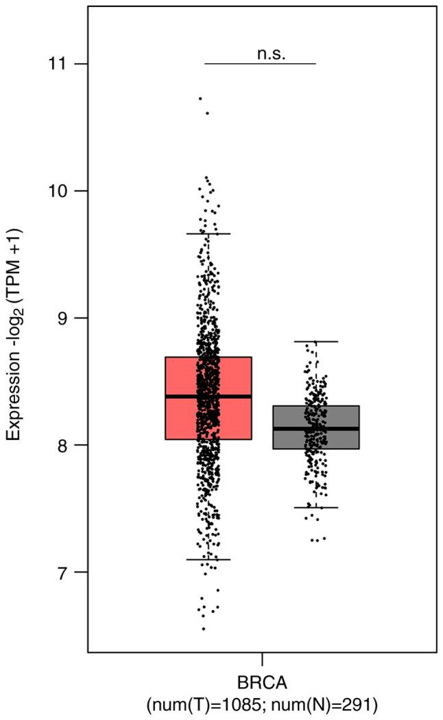 https://cdn.ncbi.nlm.nih.gov/pmc/blobs/f2af/12242370/b746c4a2c7b5/or-54-03-08939-g00.jpg