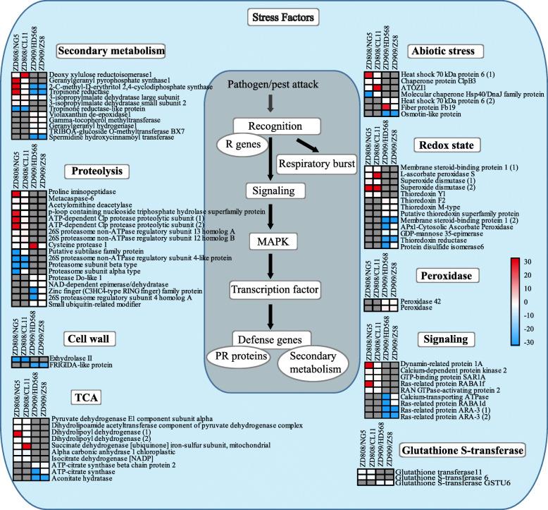 https://cdn.ncbi.nlm.nih.gov/pmc/blobs/f2b0/7796551/b5c0c1ab25aa/12870_2020_2806_Fig4_HTML.jpg