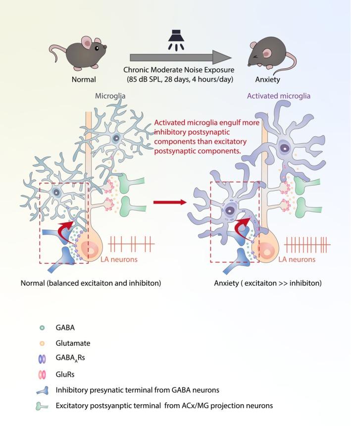 https://cdn.ncbi.nlm.nih.gov/pmc/blobs/f2b1/10927919/231276df917f/CNS-30-e14674-g004.jpg