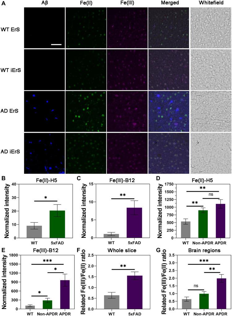 https://cdn.ncbi.nlm.nih.gov/pmc/blobs/f2b3/10115418/8e028a9aa0a1/sciadv.ade7622-f4.jpg
