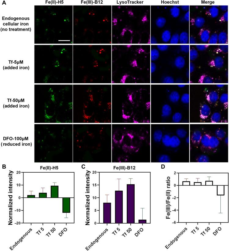 https://cdn.ncbi.nlm.nih.gov/pmc/blobs/f2b3/10115418/9a80cbf291c2/sciadv.ade7622-f2.jpg