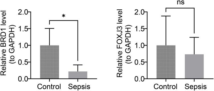 https://cdn.ncbi.nlm.nih.gov/pmc/blobs/f2b4/12363545/148afe7ca06e/JIR-18-11155-g0009.jpg
