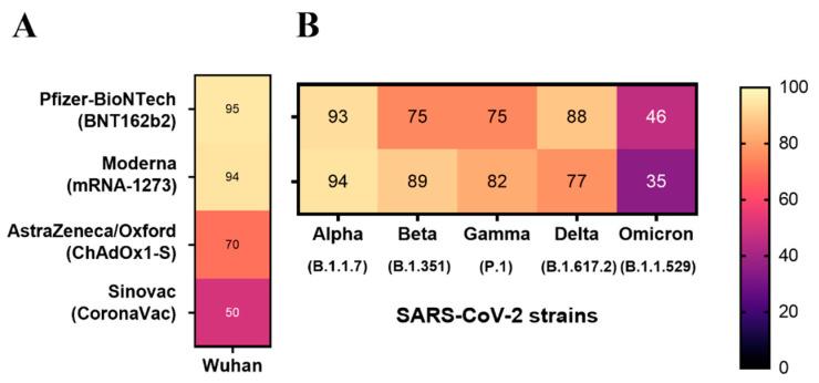 https://cdn.ncbi.nlm.nih.gov/pmc/blobs/f2b5/11768231/591e2cc52427/pathogens-14-00023-g001.jpg
