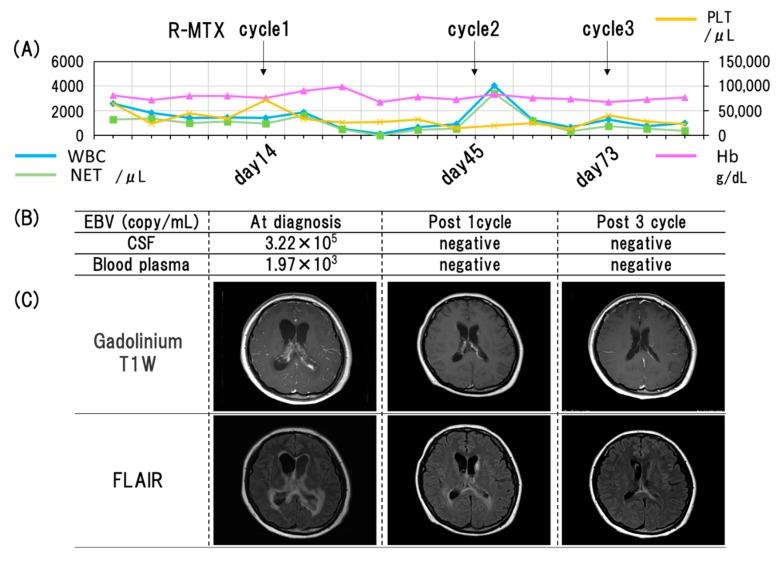 https://cdn.ncbi.nlm.nih.gov/pmc/blobs/f2b6/7232501/562cba53ec2b/viruses-12-00416-g005.jpg