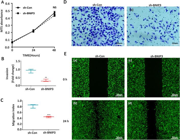 https://cdn.ncbi.nlm.nih.gov/pmc/blobs/f2b6/8516954/2b8da660e15d/41598_2021_99837_Fig4_HTML.jpg