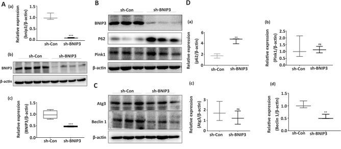 https://cdn.ncbi.nlm.nih.gov/pmc/blobs/f2b6/8516954/667021bda687/41598_2021_99837_Fig2_HTML.jpg