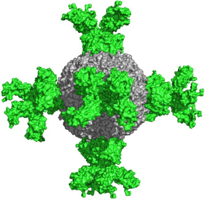 https://cdn.ncbi.nlm.nih.gov/pmc/blobs/f2b8/10929646/5f5af2e3a41f/IJN-19-2429-g0001.jpg