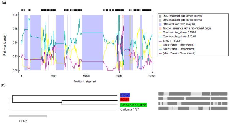 https://cdn.ncbi.nlm.nih.gov/pmc/blobs/f2b8/11593648/234e9e1f8f0d/genes-15-01480-g004.jpg