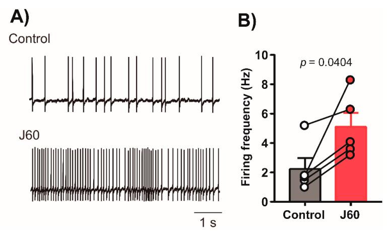 https://cdn.ncbi.nlm.nih.gov/pmc/blobs/f2b8/8269100/3c68fb484e78/ijms-22-06742-g002.jpg
