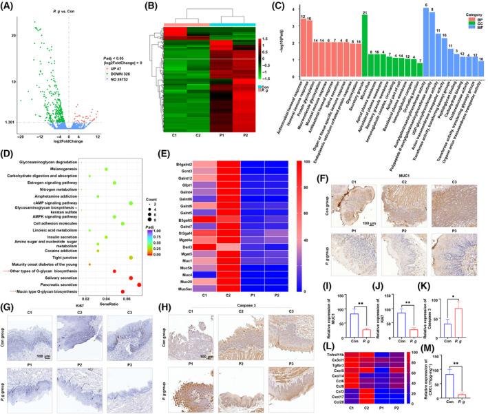 https://cdn.ncbi.nlm.nih.gov/pmc/blobs/f2bb/11076995/3f0f575fe584/MOL2-18-1174-g001.jpg
