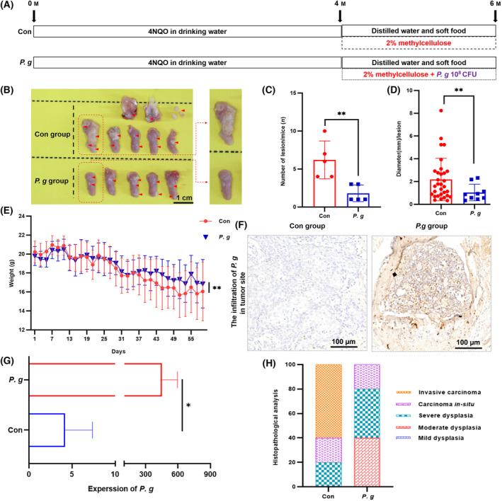 https://cdn.ncbi.nlm.nih.gov/pmc/blobs/f2bb/11076995/5990041839d5/MOL2-18-1174-g004.jpg