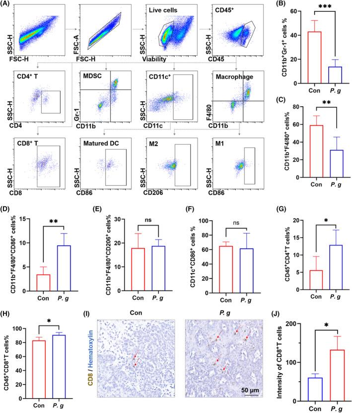 https://cdn.ncbi.nlm.nih.gov/pmc/blobs/f2bb/11076995/d9756679b496/MOL2-18-1174-g007.jpg