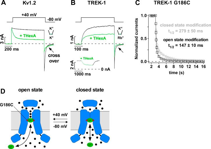 https://cdn.ncbi.nlm.nih.gov/pmc/blobs/f2bb/4771873/bc1be91846ce/figs3.jpg
