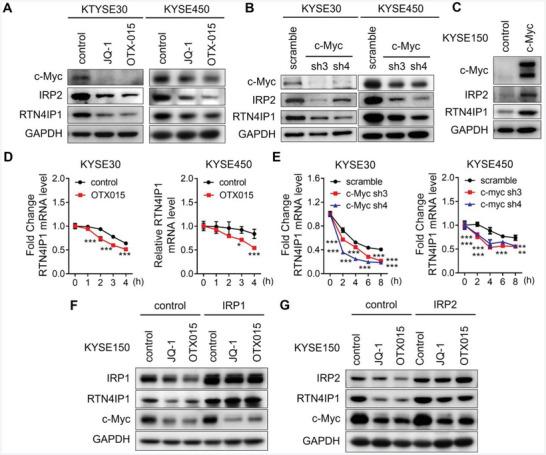 https://cdn.ncbi.nlm.nih.gov/pmc/blobs/f2bc/11848606/29cb4e6afb9e/ADVS-12-2406220-g008.jpg