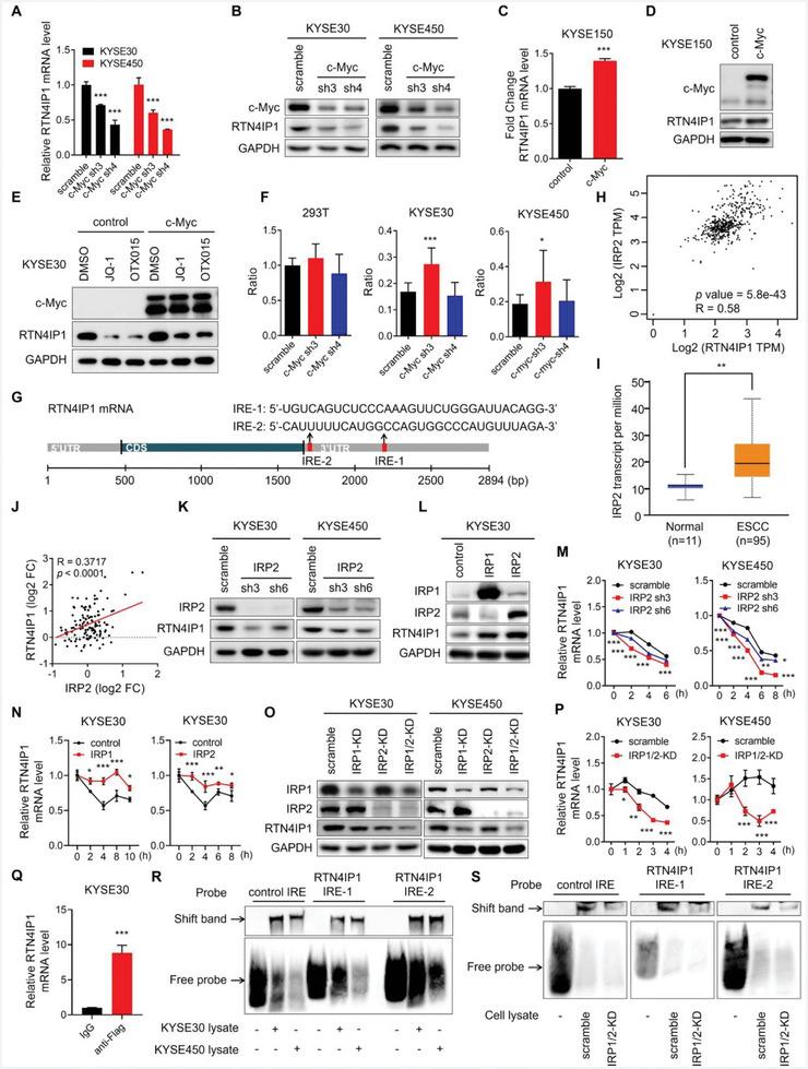 https://cdn.ncbi.nlm.nih.gov/pmc/blobs/f2bc/11848606/7be198795873/ADVS-12-2406220-g003.jpg