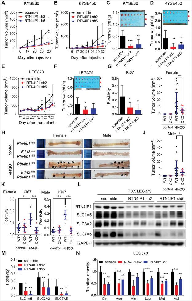 https://cdn.ncbi.nlm.nih.gov/pmc/blobs/f2bc/11848606/7e7f2da03876/ADVS-12-2406220-g009.jpg