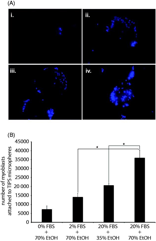 https://cdn.ncbi.nlm.nih.gov/pmc/blobs/f2be/4509882/a45439f12065/10.1177_0885328215577297-fig6.jpg