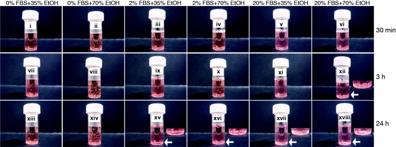 https://cdn.ncbi.nlm.nih.gov/pmc/blobs/f2be/4509882/cf386eeaf833/10.1177_0885328215577297-fig4.jpg