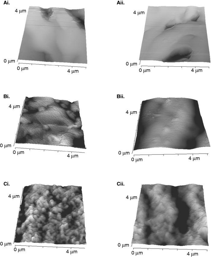 https://cdn.ncbi.nlm.nih.gov/pmc/blobs/f2be/4509882/fad85335693f/10.1177_0885328215577297-fig7.jpg