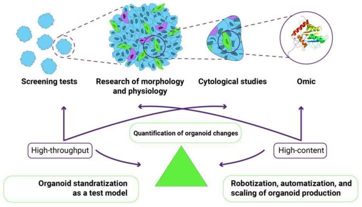 https://cdn.ncbi.nlm.nih.gov/pmc/blobs/f2be/9954166/22e8c96e3ba5/cells-12-00610-g002.jpg
