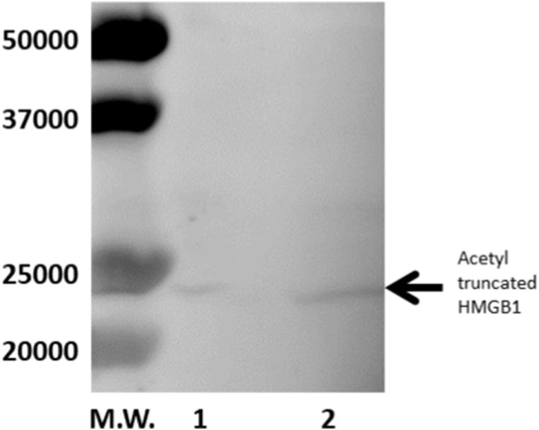 https://cdn.ncbi.nlm.nih.gov/pmc/blobs/f2bf/10462679/36cd3c81c860/gr1.jpg