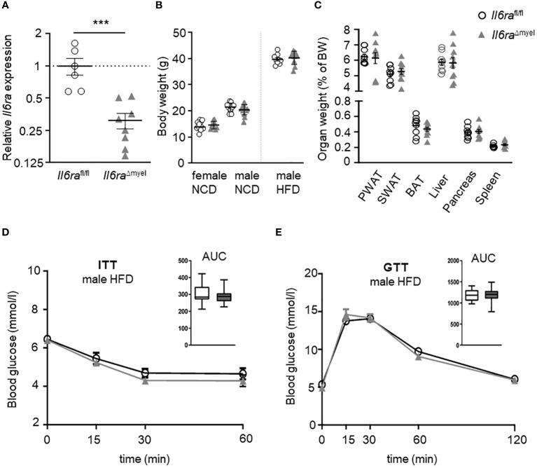 https://cdn.ncbi.nlm.nih.gov/pmc/blobs/f2bf/10933059/17fb88e568c0/fimmu-15-1201439-g001.jpg
