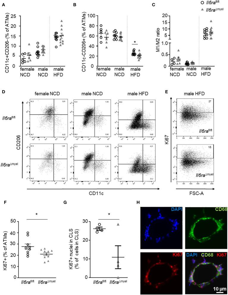https://cdn.ncbi.nlm.nih.gov/pmc/blobs/f2bf/10933059/2dc3a72fdf29/fimmu-15-1201439-g003.jpg