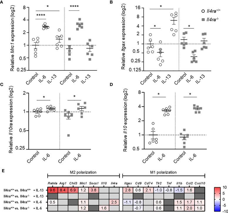 https://cdn.ncbi.nlm.nih.gov/pmc/blobs/f2bf/10933059/c7f0131f600d/fimmu-15-1201439-g005.jpg