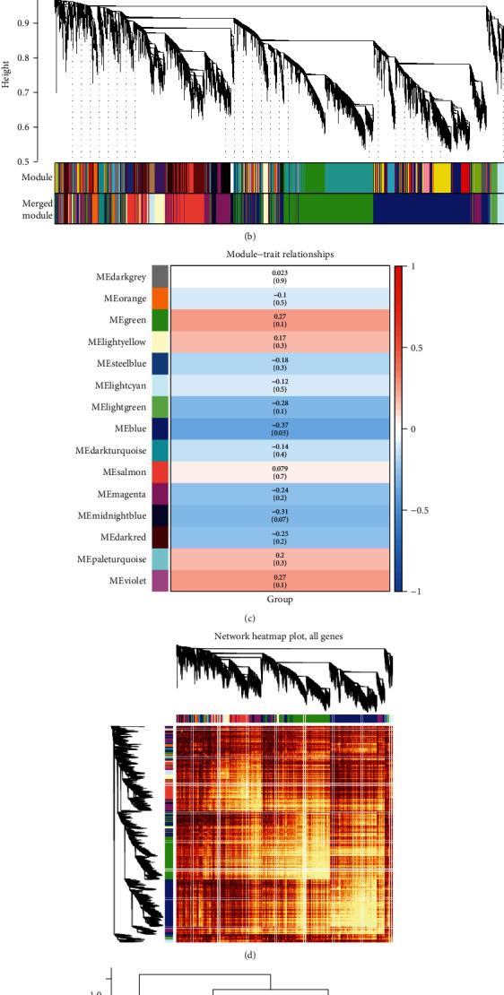 https://cdn.ncbi.nlm.nih.gov/pmc/blobs/f2bf/7984900/3ec6ee7ce5f4/BMRI2021-6616434.006.jpg