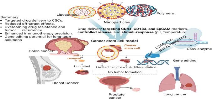 https://cdn.ncbi.nlm.nih.gov/pmc/blobs/f2c1/11929669/2f0d4195db8b/12672_2025_2102_Fig5_HTML.jpg