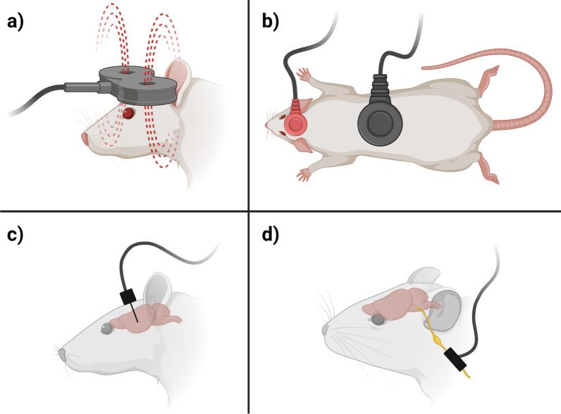 https://cdn.ncbi.nlm.nih.gov/pmc/blobs/f2c3/10131365/05f8416a49b2/12984_2023_1159_Fig1_HTML.jpg
