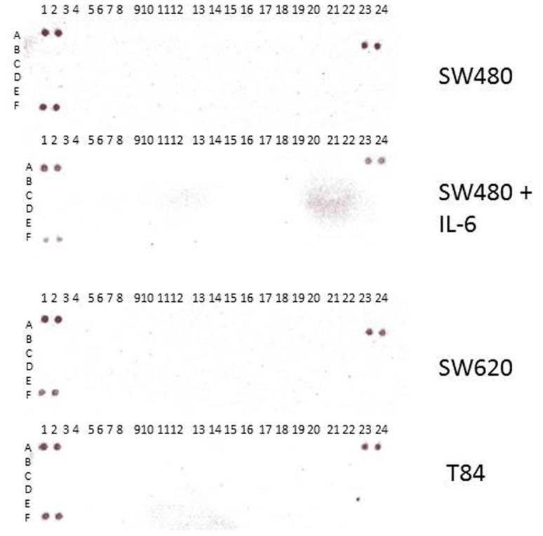 https://cdn.ncbi.nlm.nih.gov/pmc/blobs/f2c3/4530953/7fa414a4f1d1/pone.0134948.g006.jpg