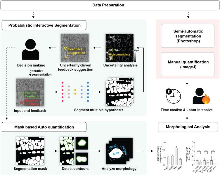 https://cdn.ncbi.nlm.nih.gov/pmc/blobs/f2c4/12125239/fe71a5766807/41598_2025_3311_Fig1_HTML.jpg
