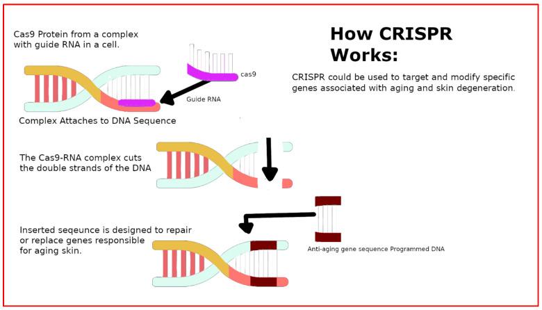 https://cdn.ncbi.nlm.nih.gov/pmc/blobs/f2c5/11050892/8aa54367e5c1/marinedrugs-22-00159-g003.jpg