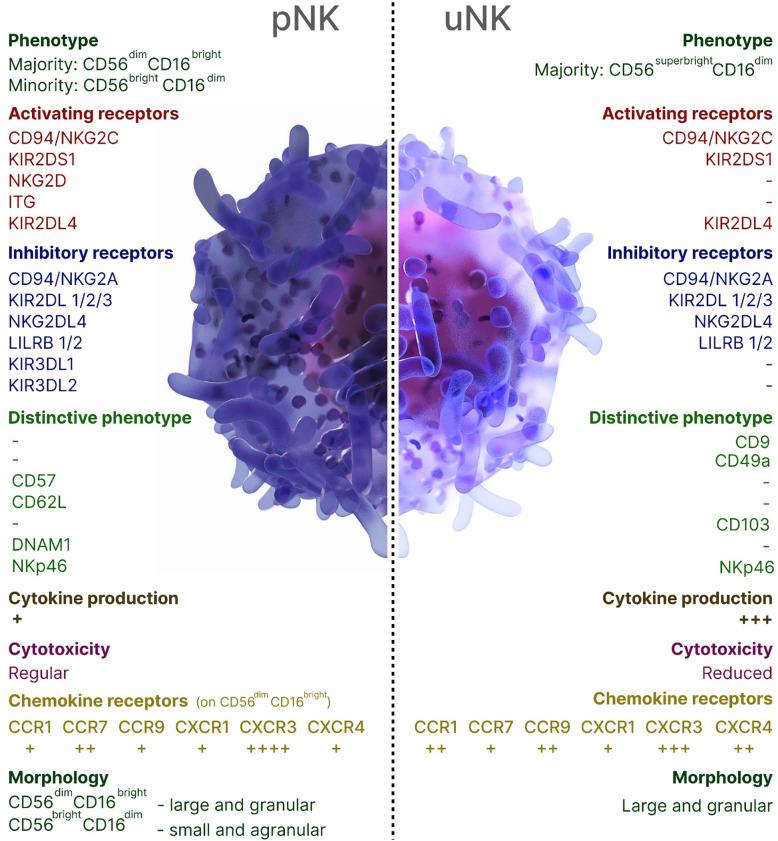 https://cdn.ncbi.nlm.nih.gov/pmc/blobs/f2c5/12197911/f8abdd956d2b/fimmu-16-1593705-g001.jpg